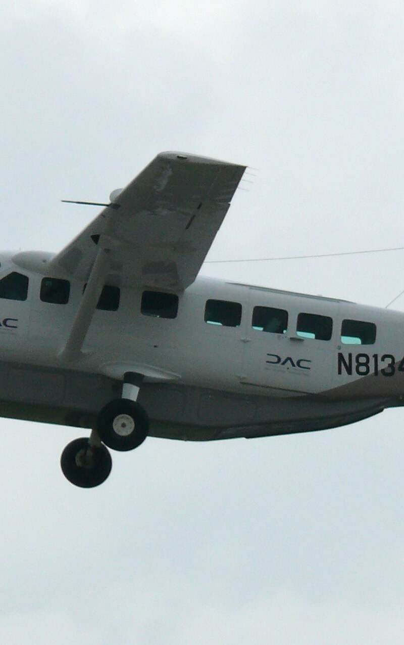 N81342 - Single-engine aircraft
