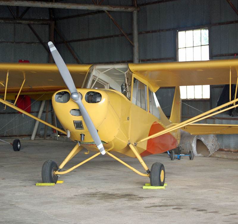 N81585 - Single-engine aircraft