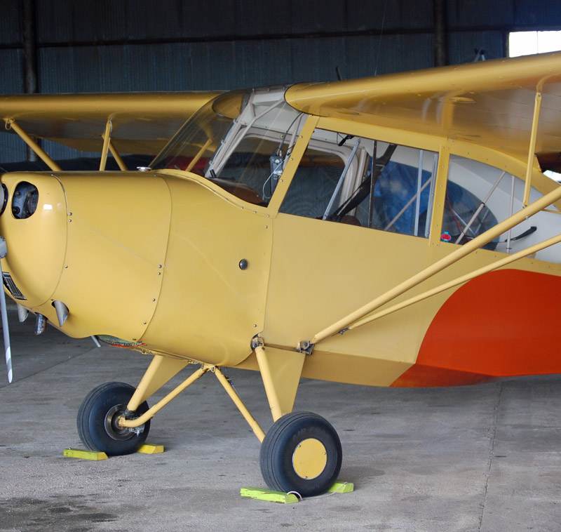 N81585 - Single-engine aircraft