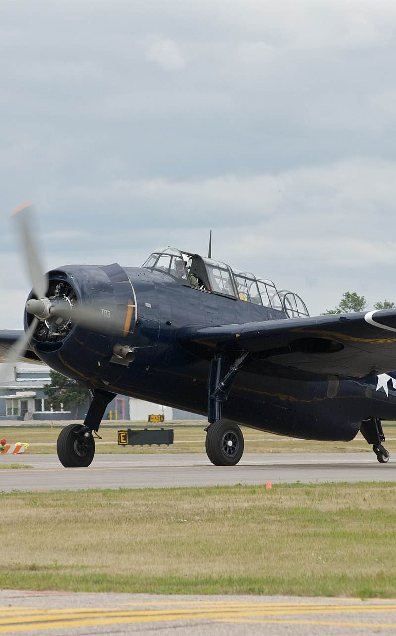 N81865 - Single-engine aircraft