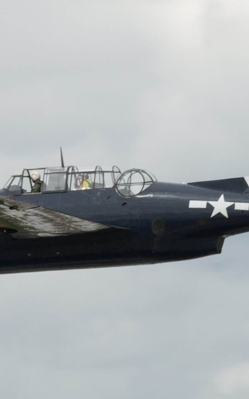 N81865 - Single-engine aircraft