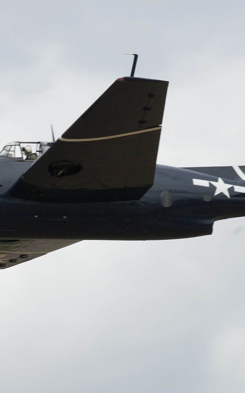 N81865 - Warbird