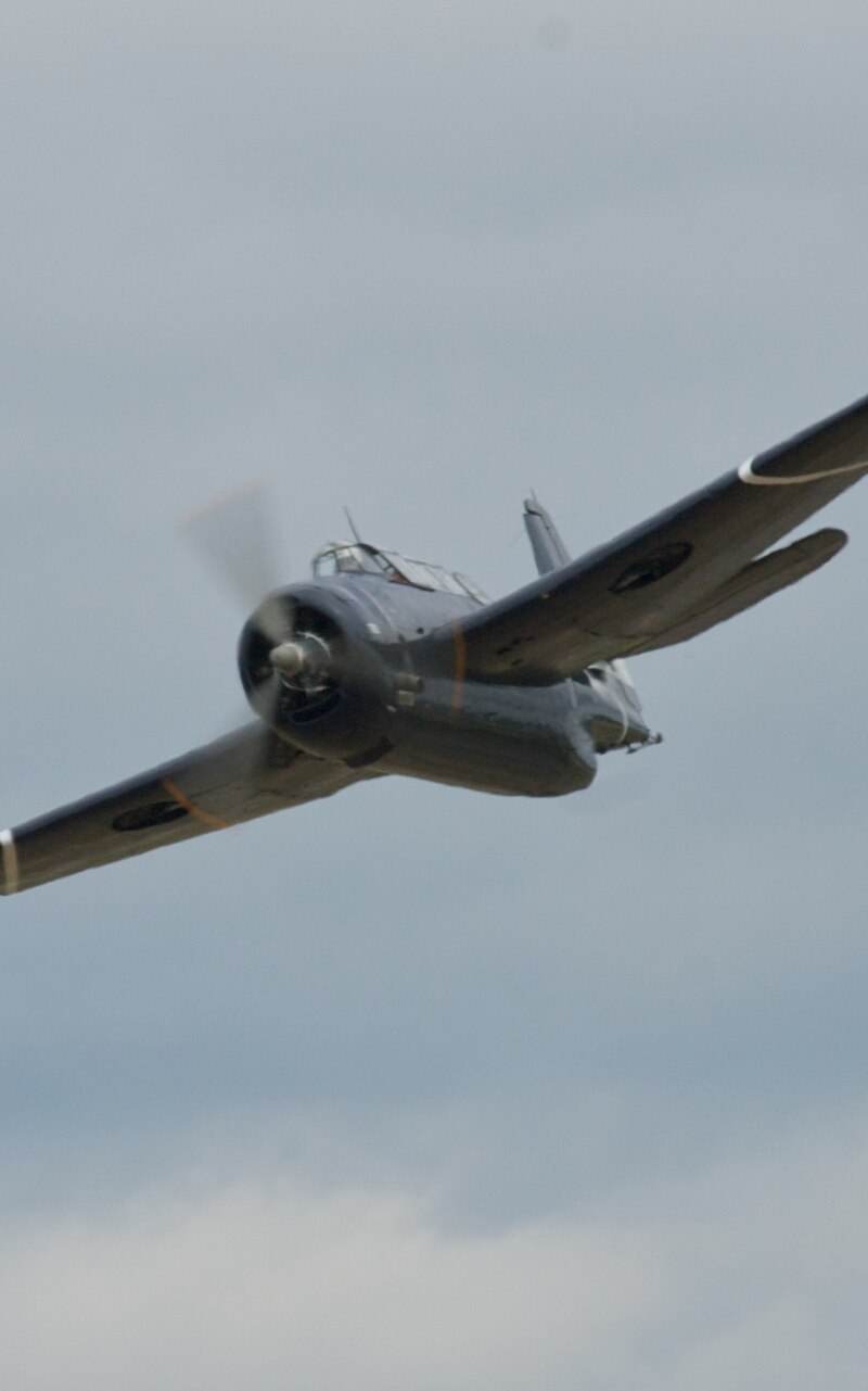 N81865 - Single-engine aircraft