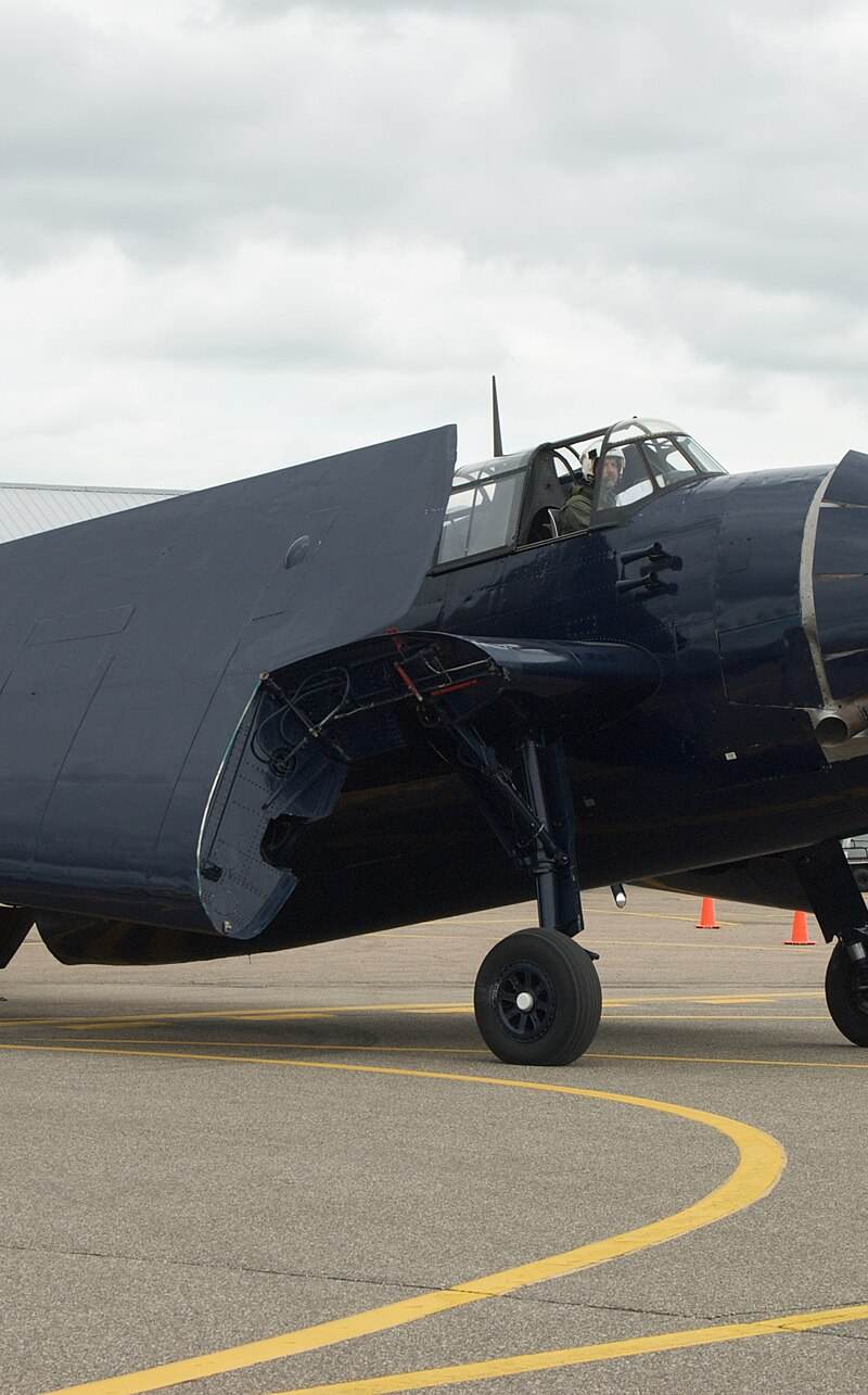 N81865 - Warbird