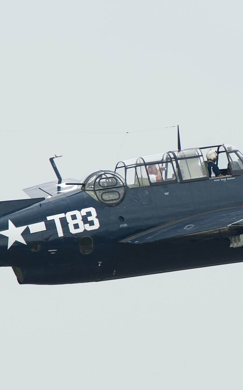 N81865 - Warbird