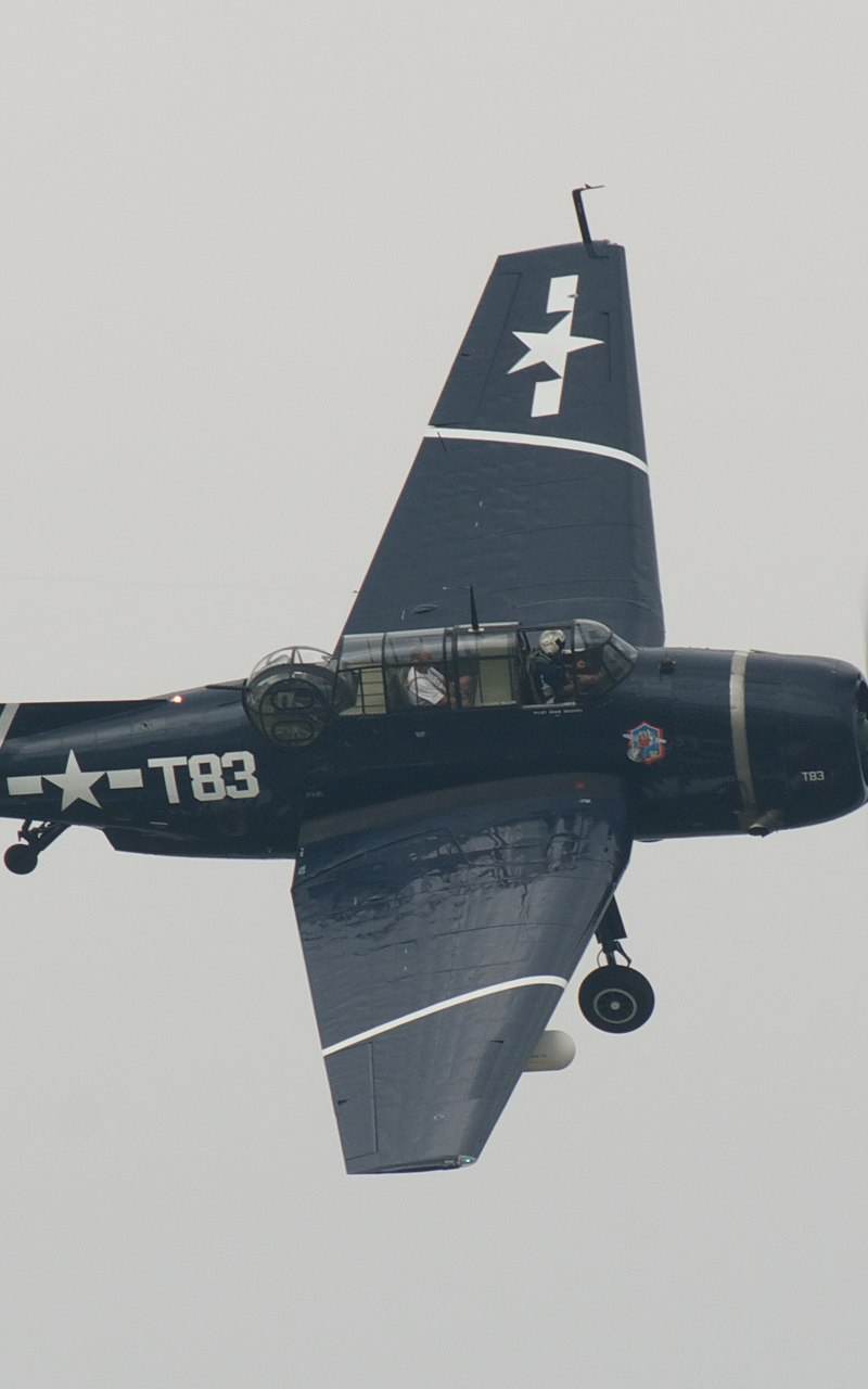 N81865 - Single-engine aircraft