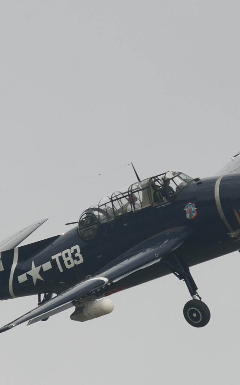 N81865 - Warbird
