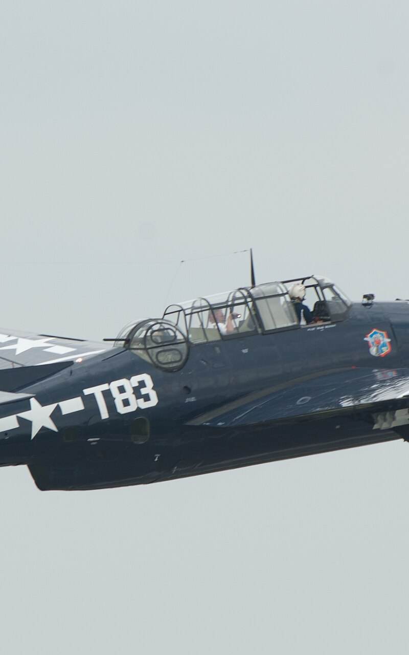 N81865 - Single-engine aircraft