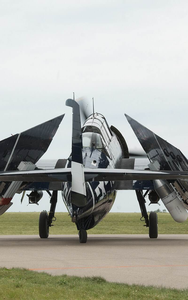 N81865 - Warbird