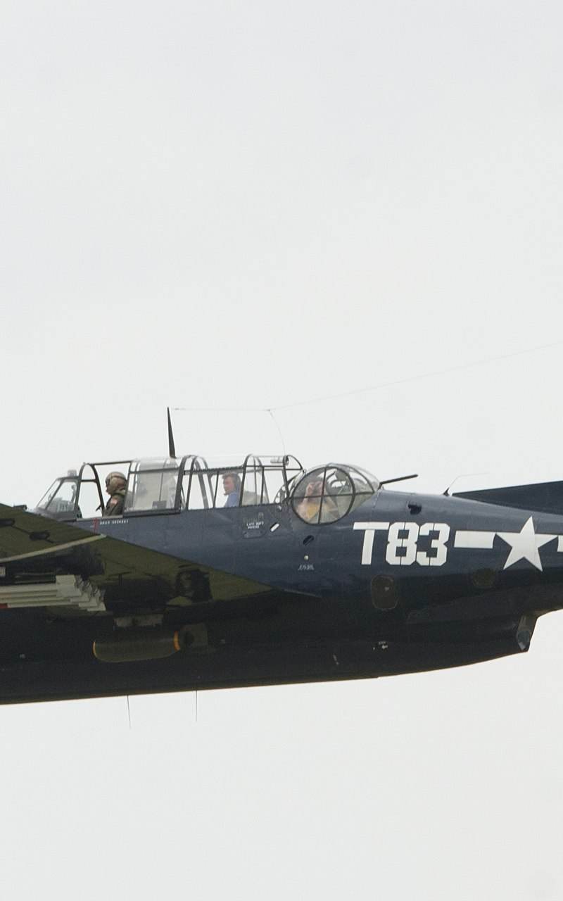 N81865 - Warbird