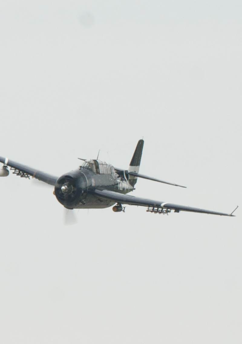 N81865 - Warbird