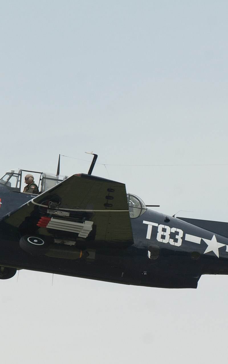 N81865 - Single-engine aircraft