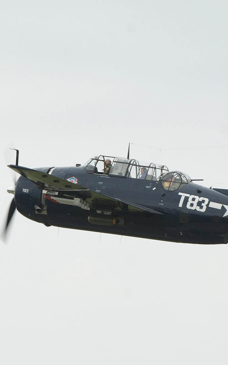N81865 - Warbird