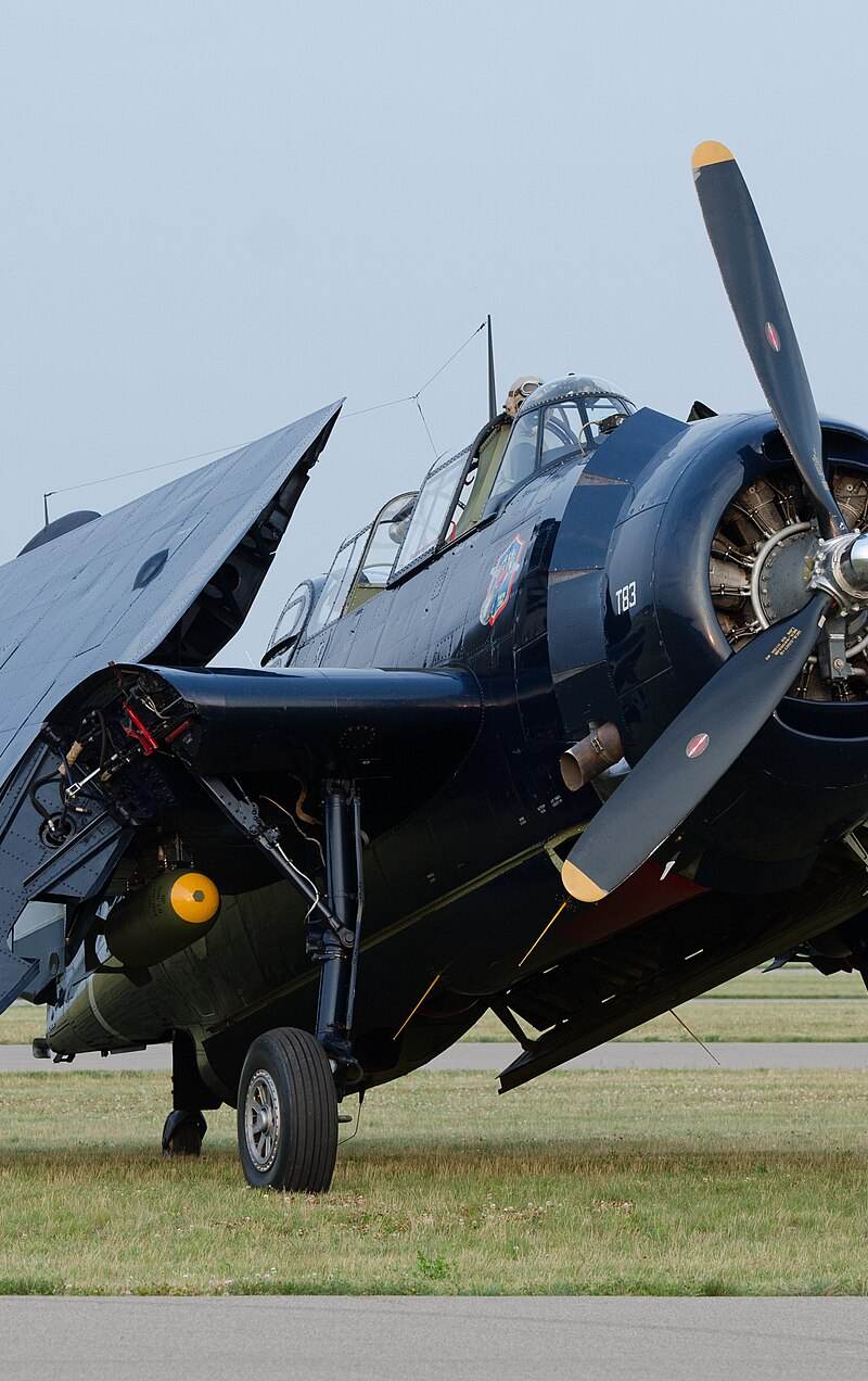 N81865 - Single-engine aircraft