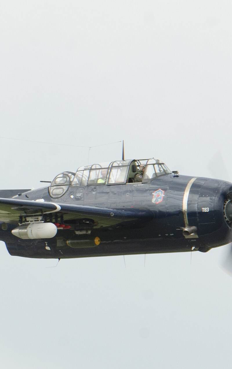 N81865 - Warbird